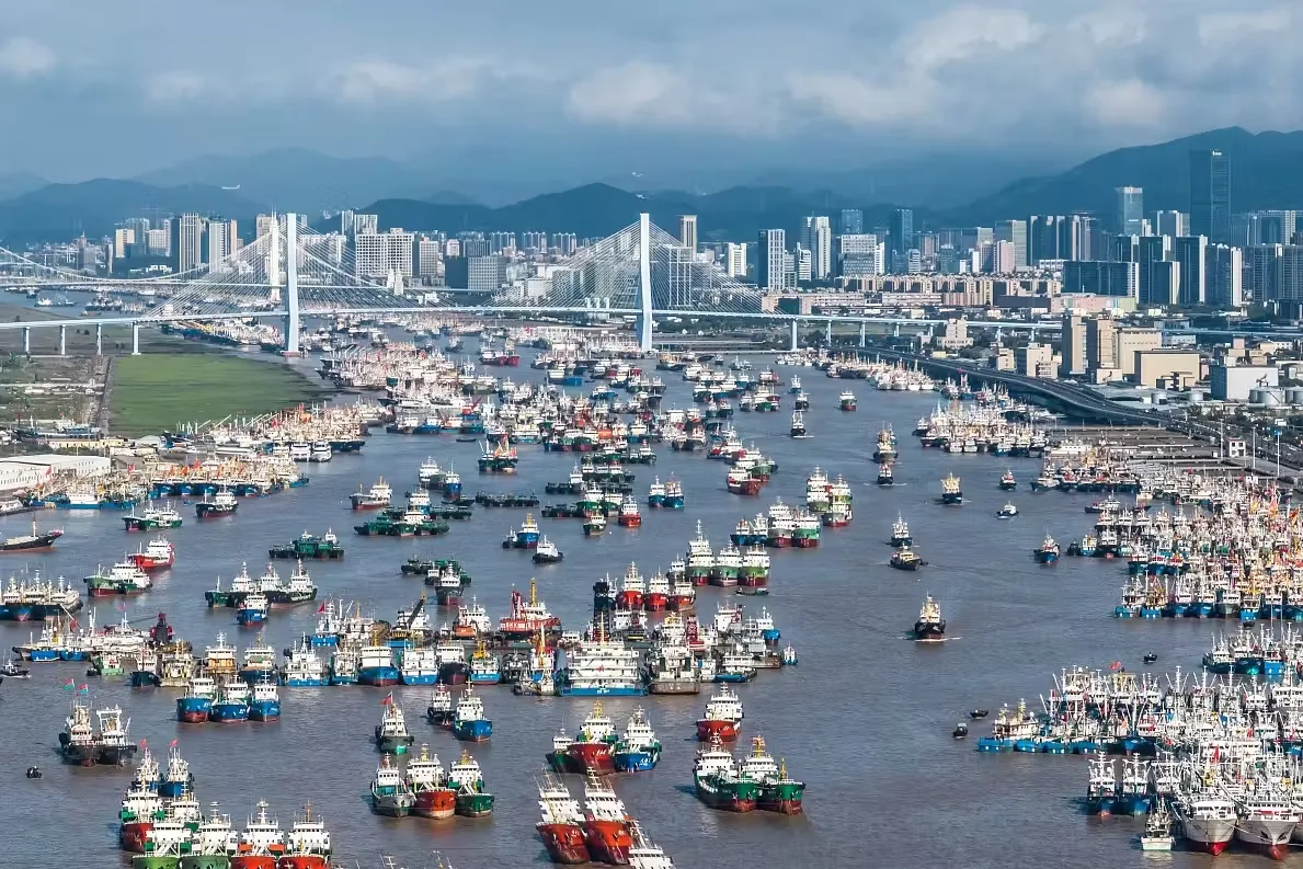 沈家门渔港实景图片