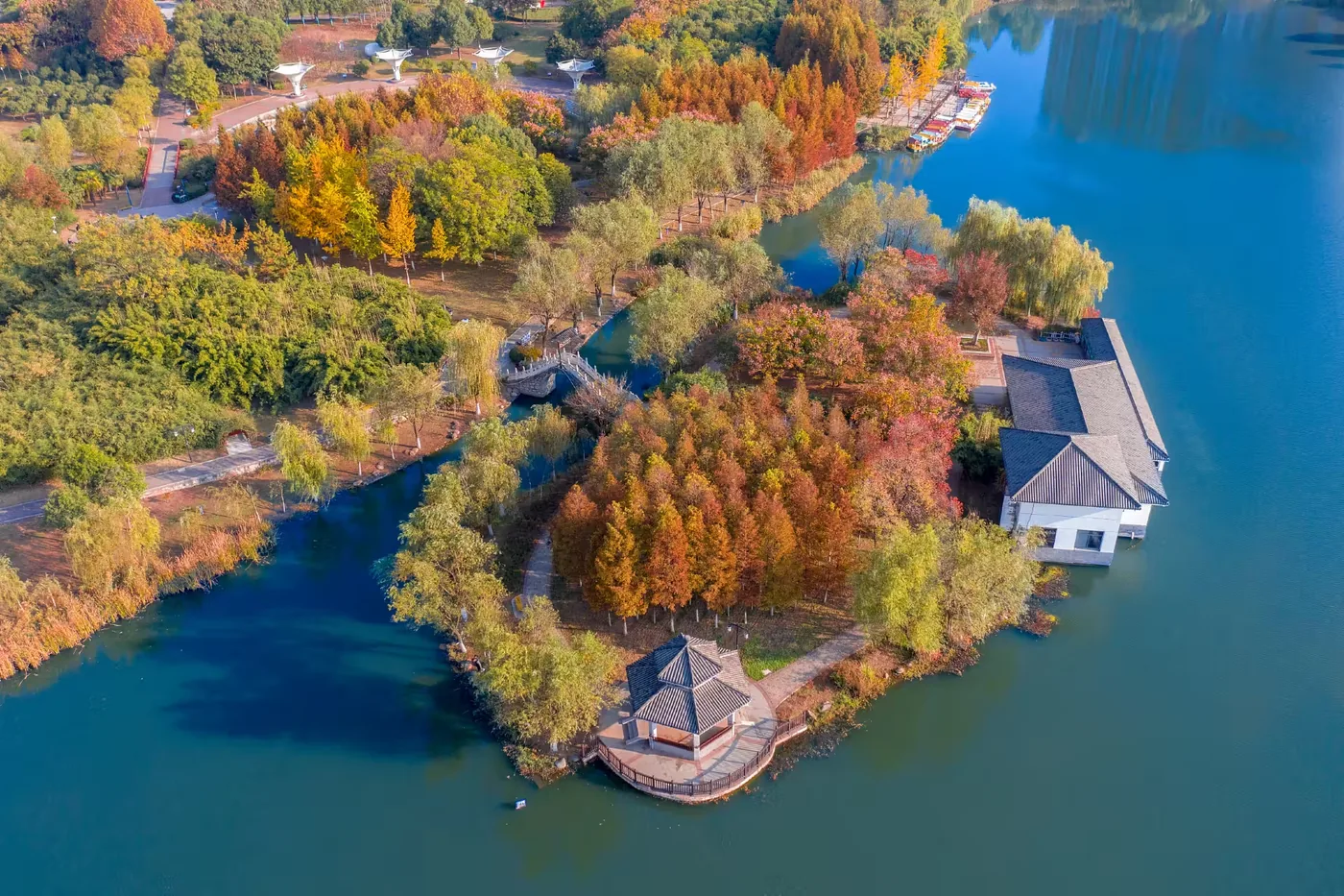城西公园实景图片