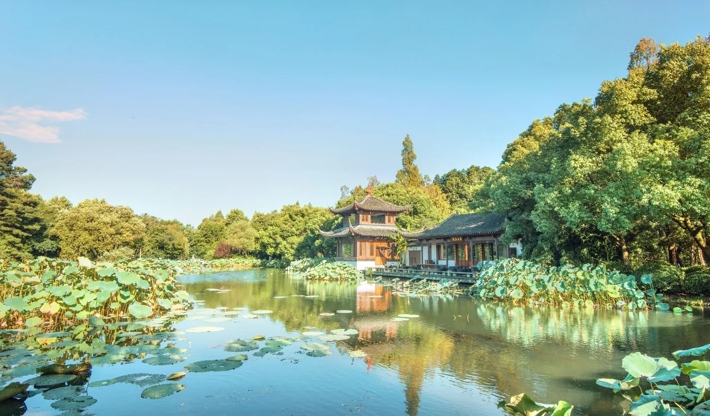 曲院风荷风景图片
