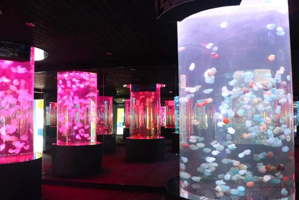 杭州极地海洋公园风景图片