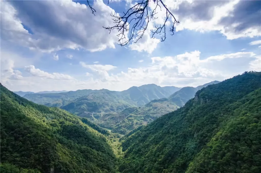徐凫岩