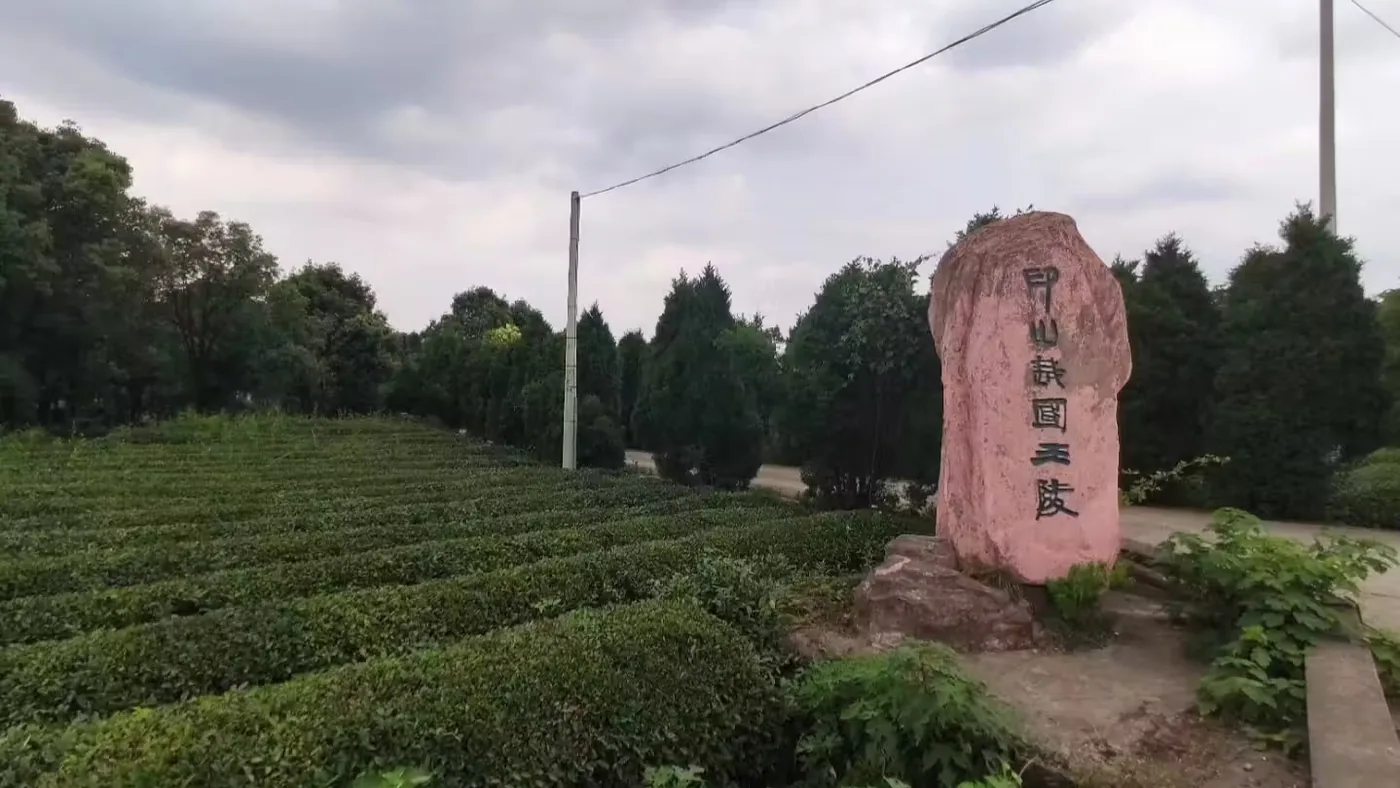 印山越国王陵