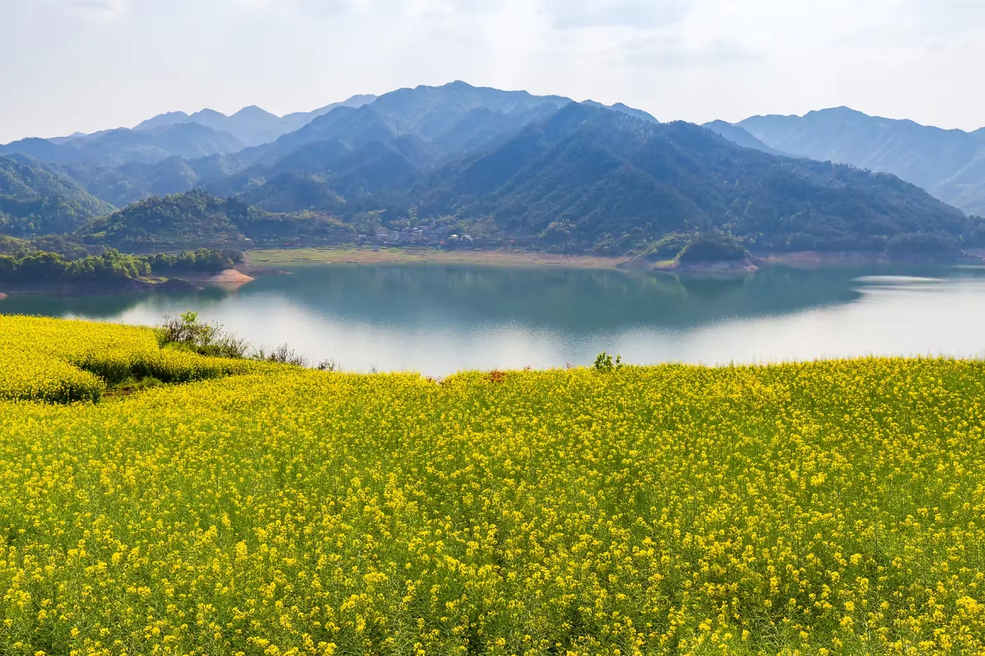 沃洲湖实景图片