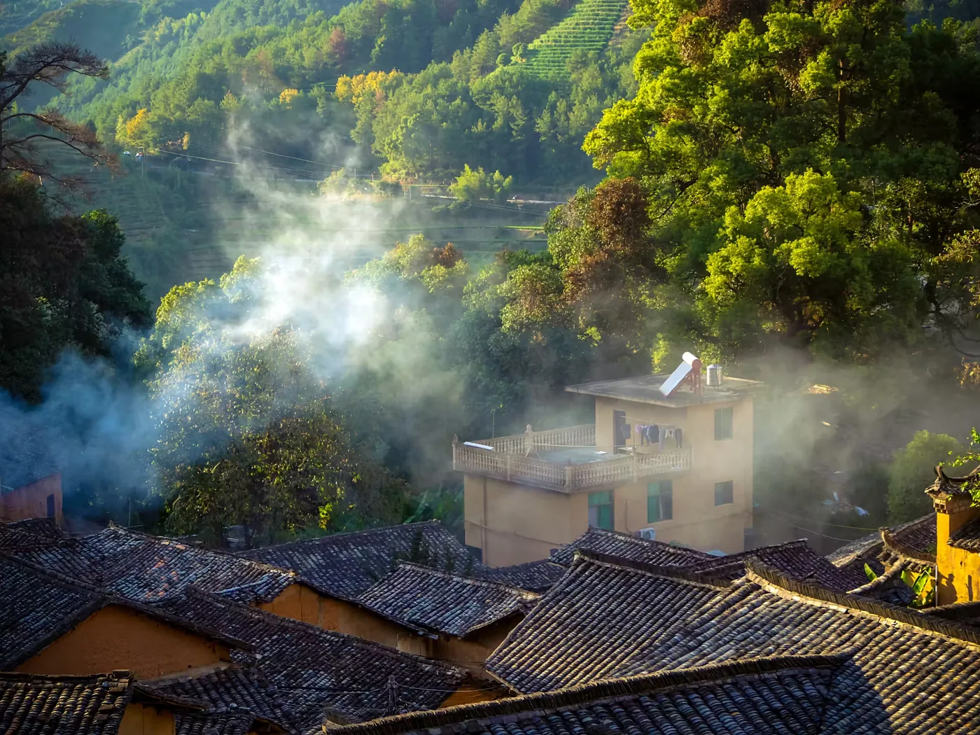 杨家堂村风景图片