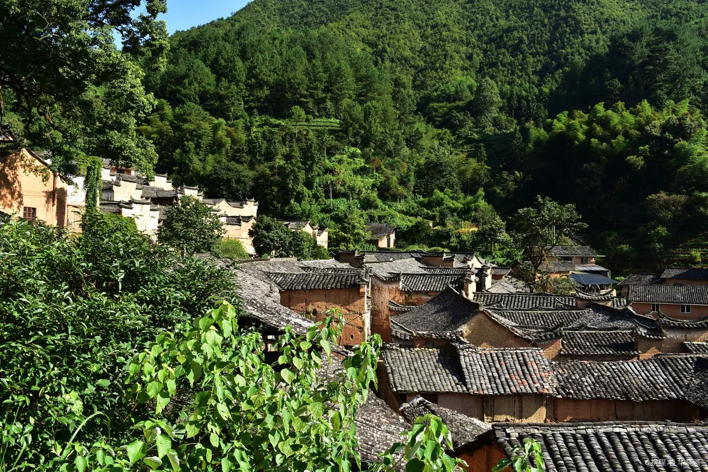 杨家堂村风景图片