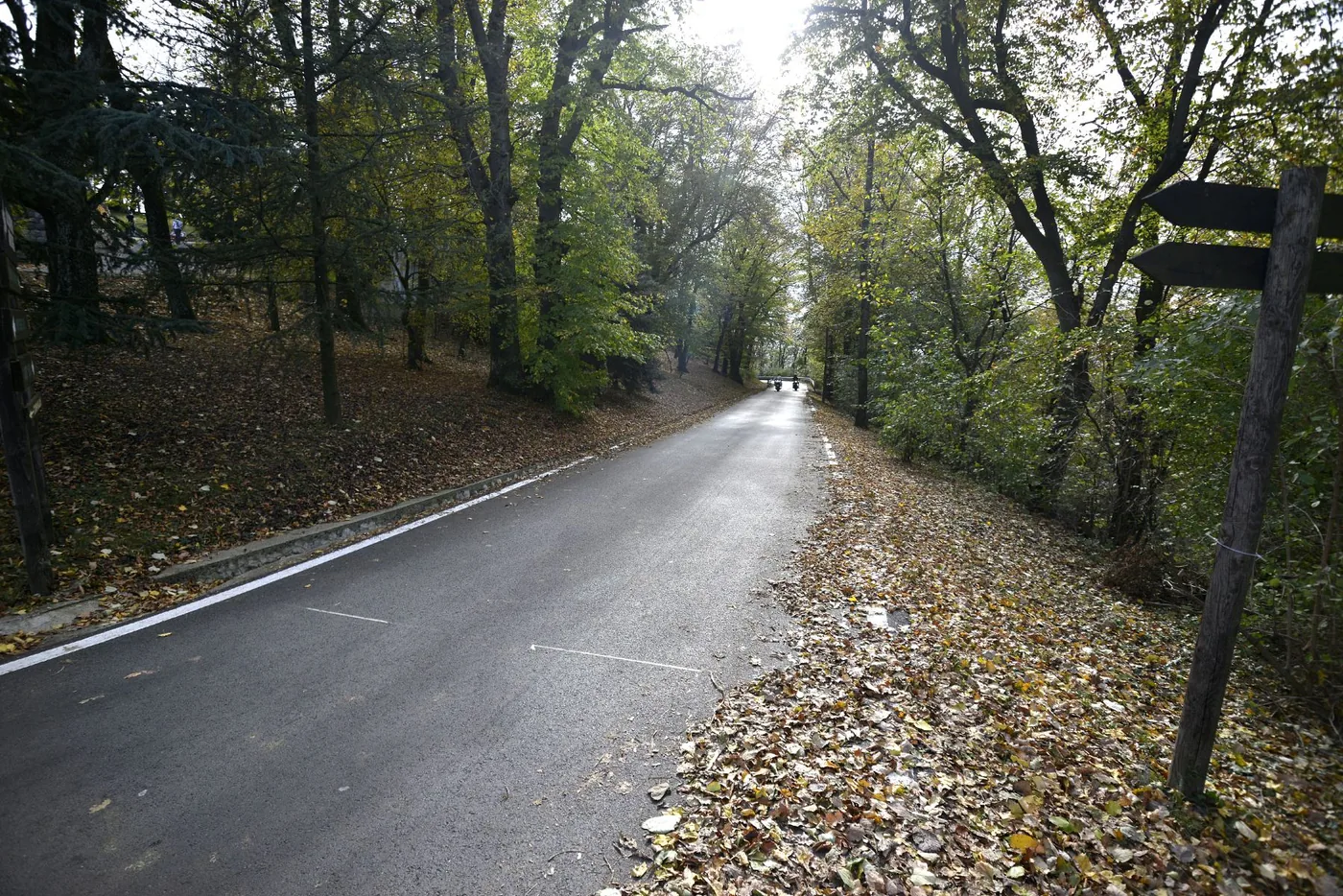 大蜀山森林公园风景图片