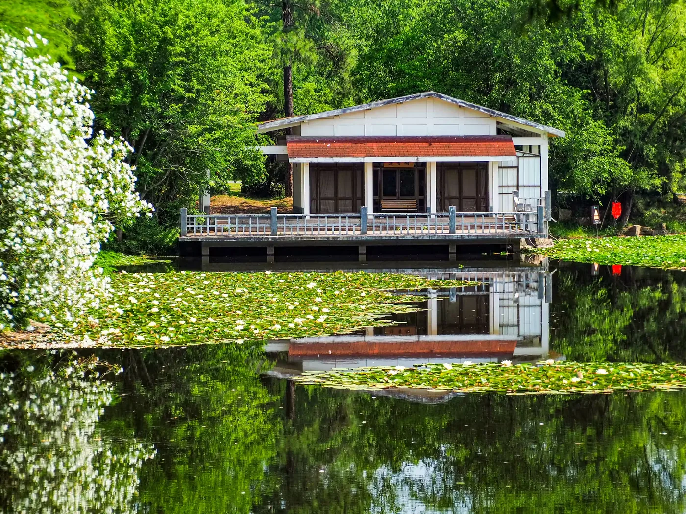 合肥植物园实景图片