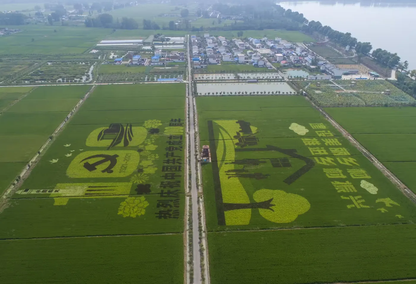安丰塘实景图片