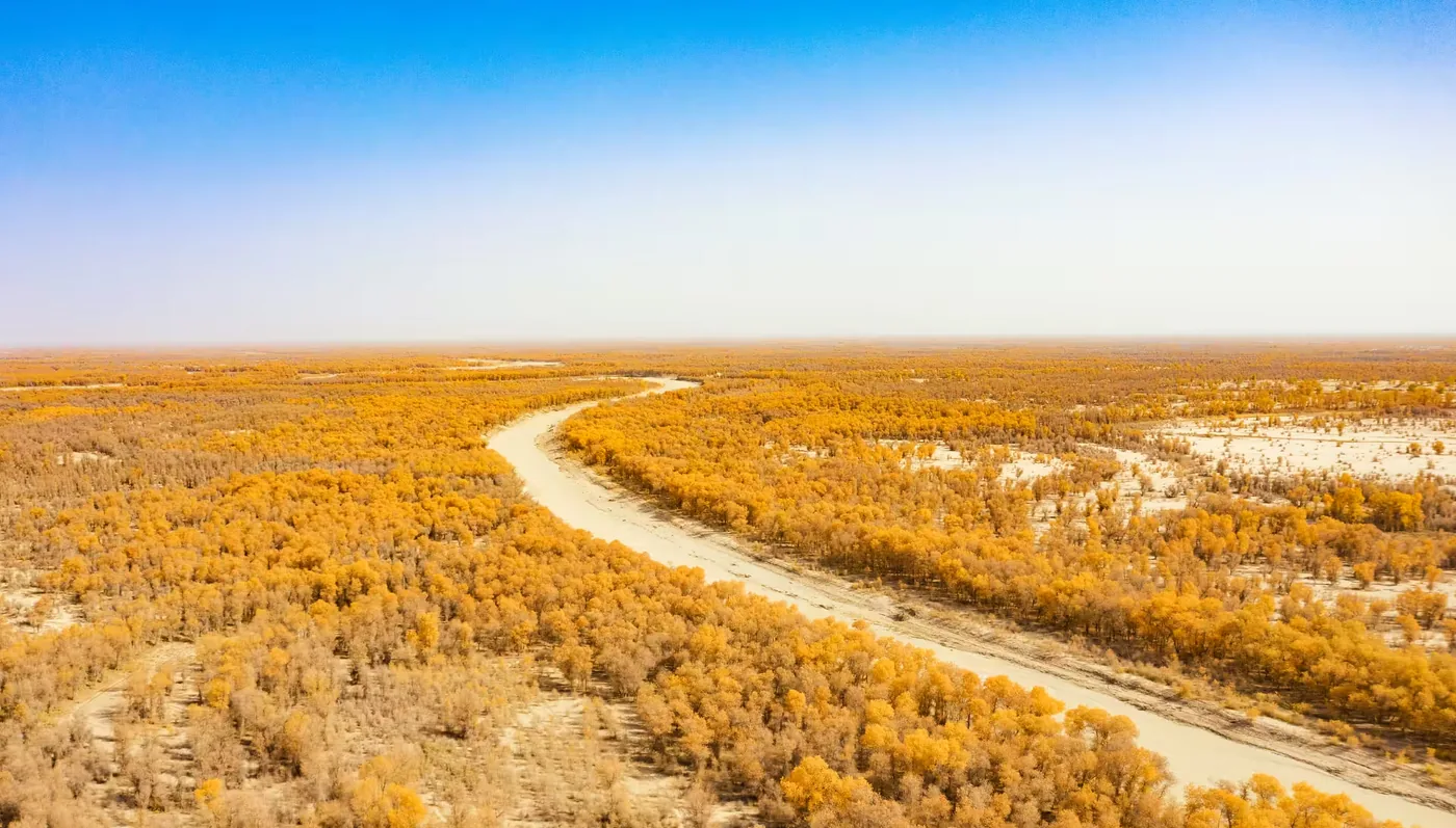 锦绣公园风景图片
