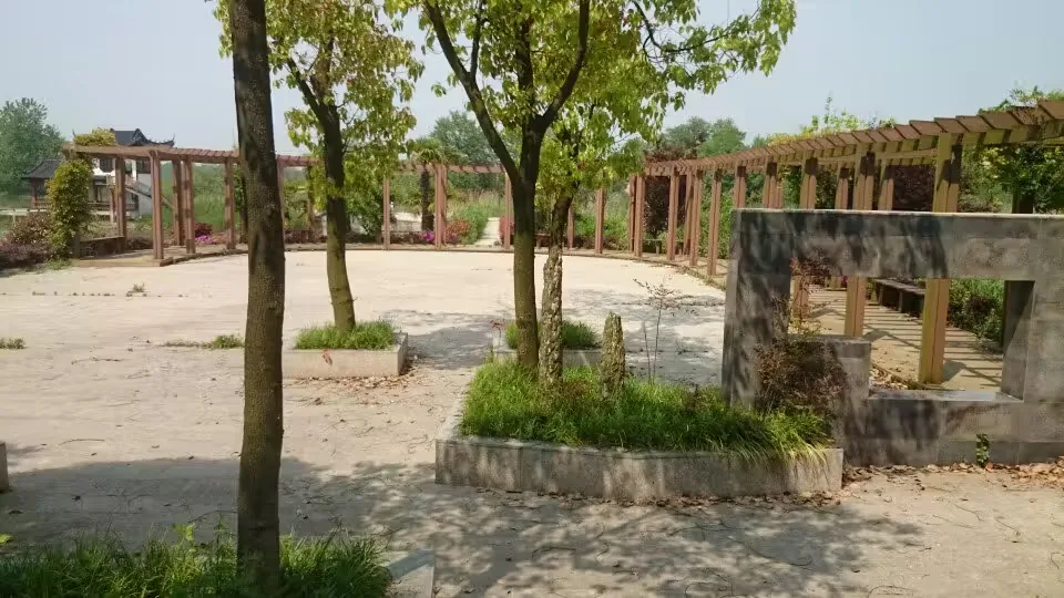 和悦洲实景图片