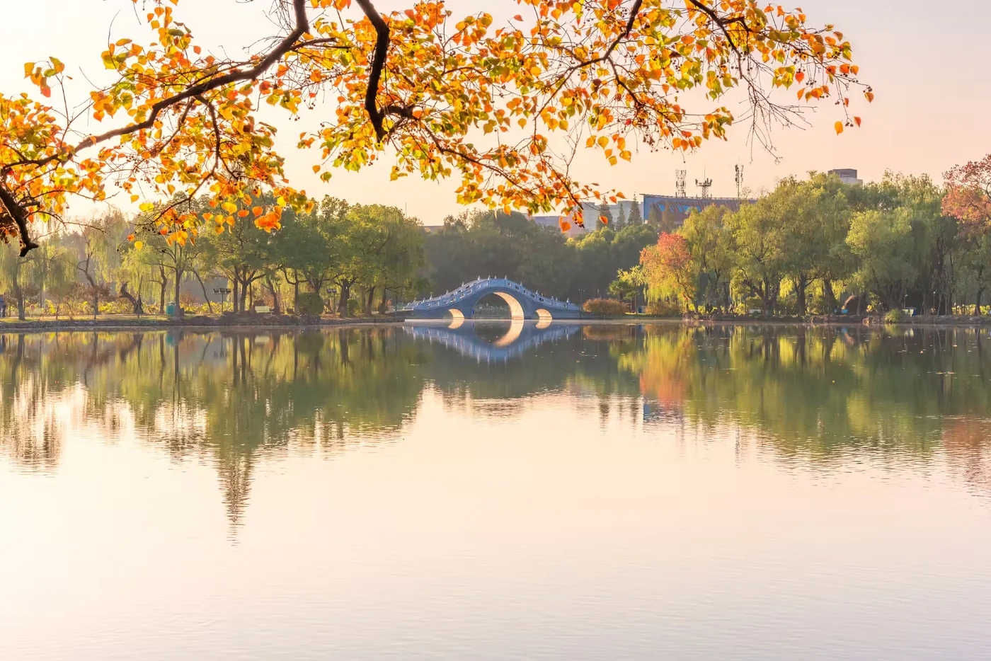 菱湖公园实景图片