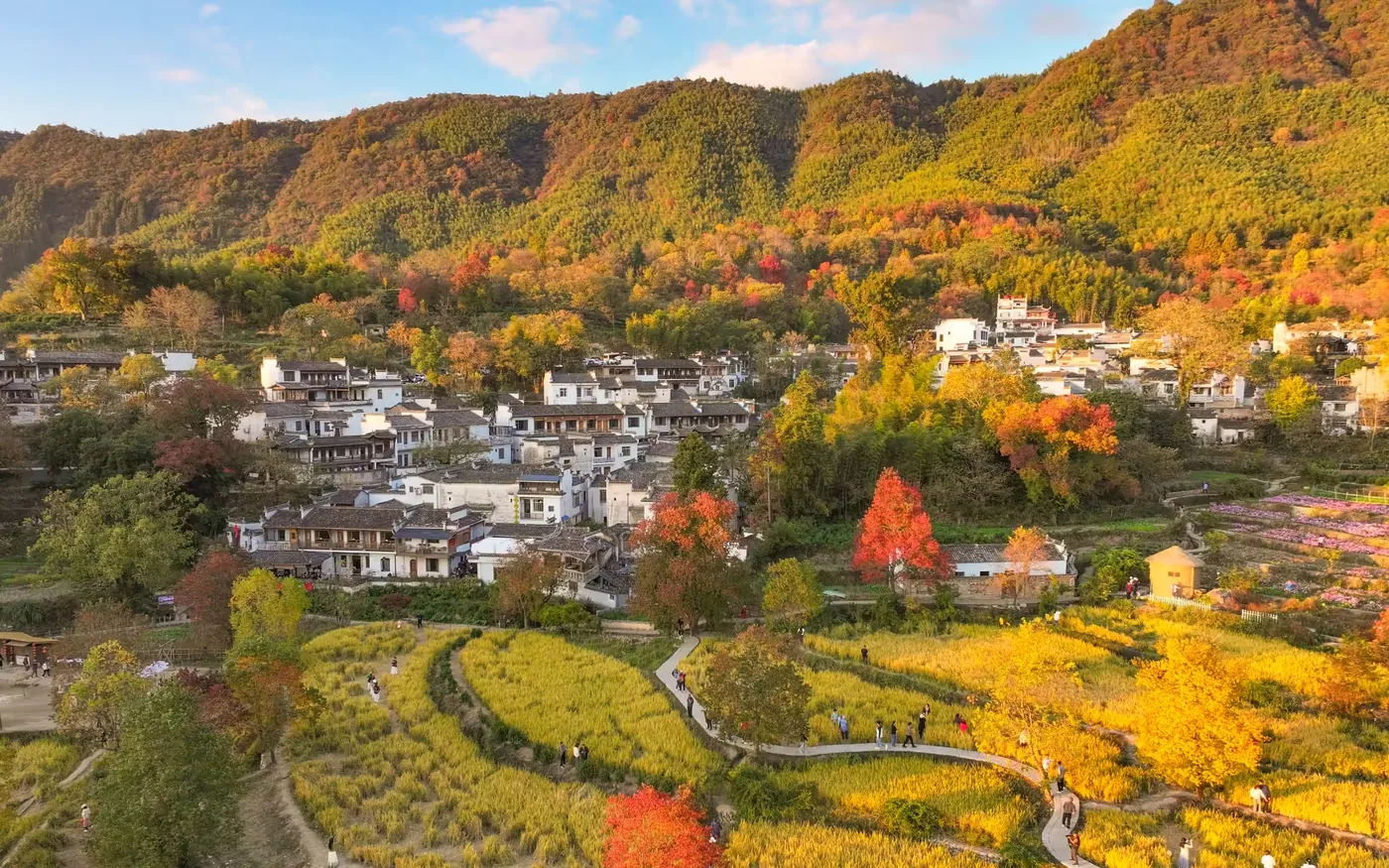 塔川秋色实景图片