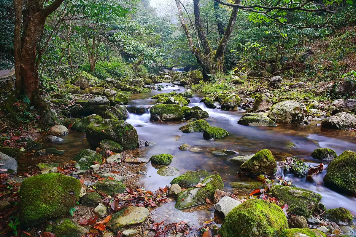 徽州大峡谷实景图片