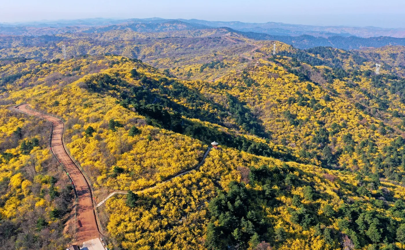 荀子文化园风景图片