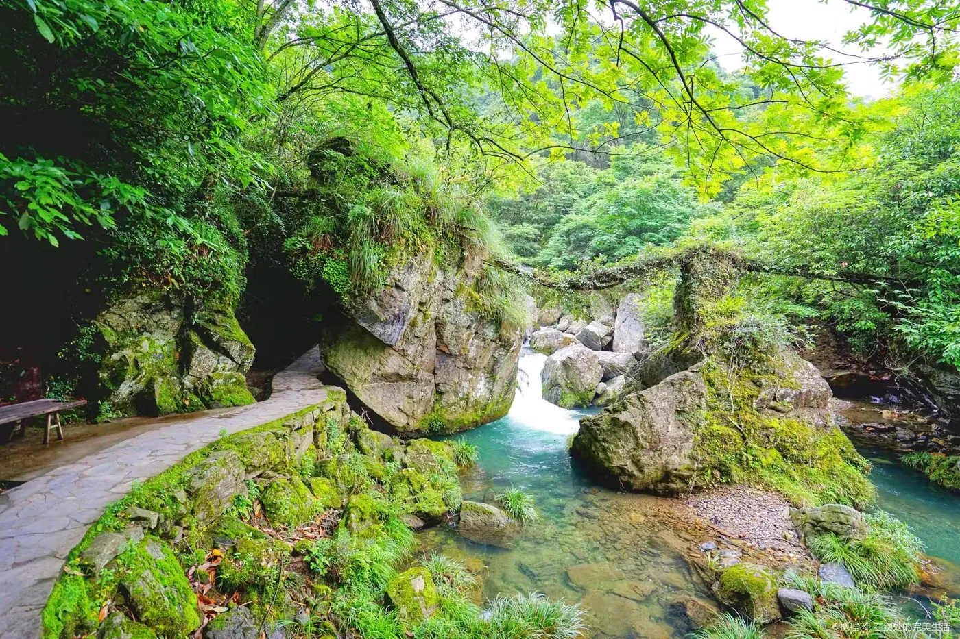 仙寓山实景图片