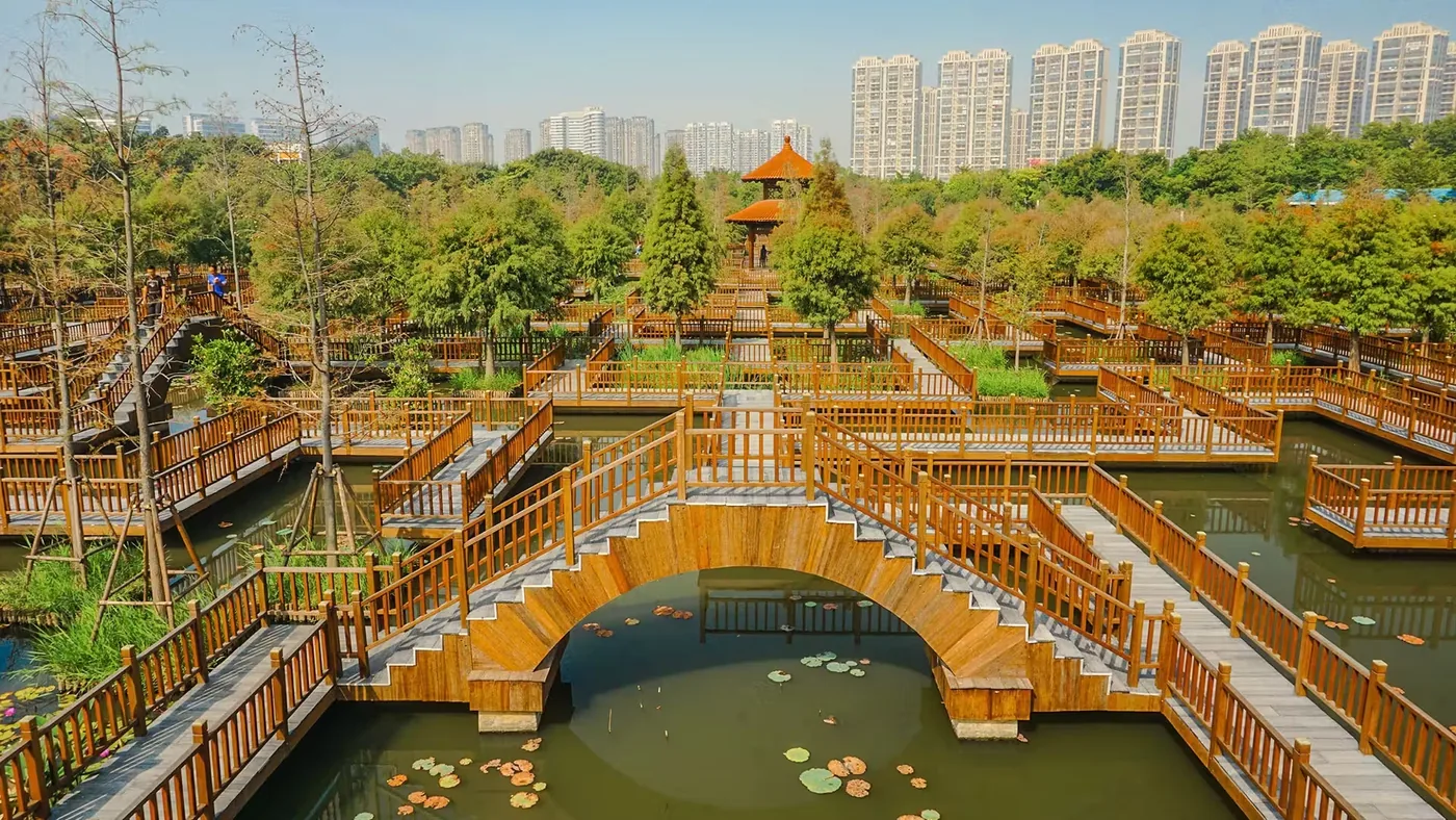 厦门五缘湾湿地公园实景图片