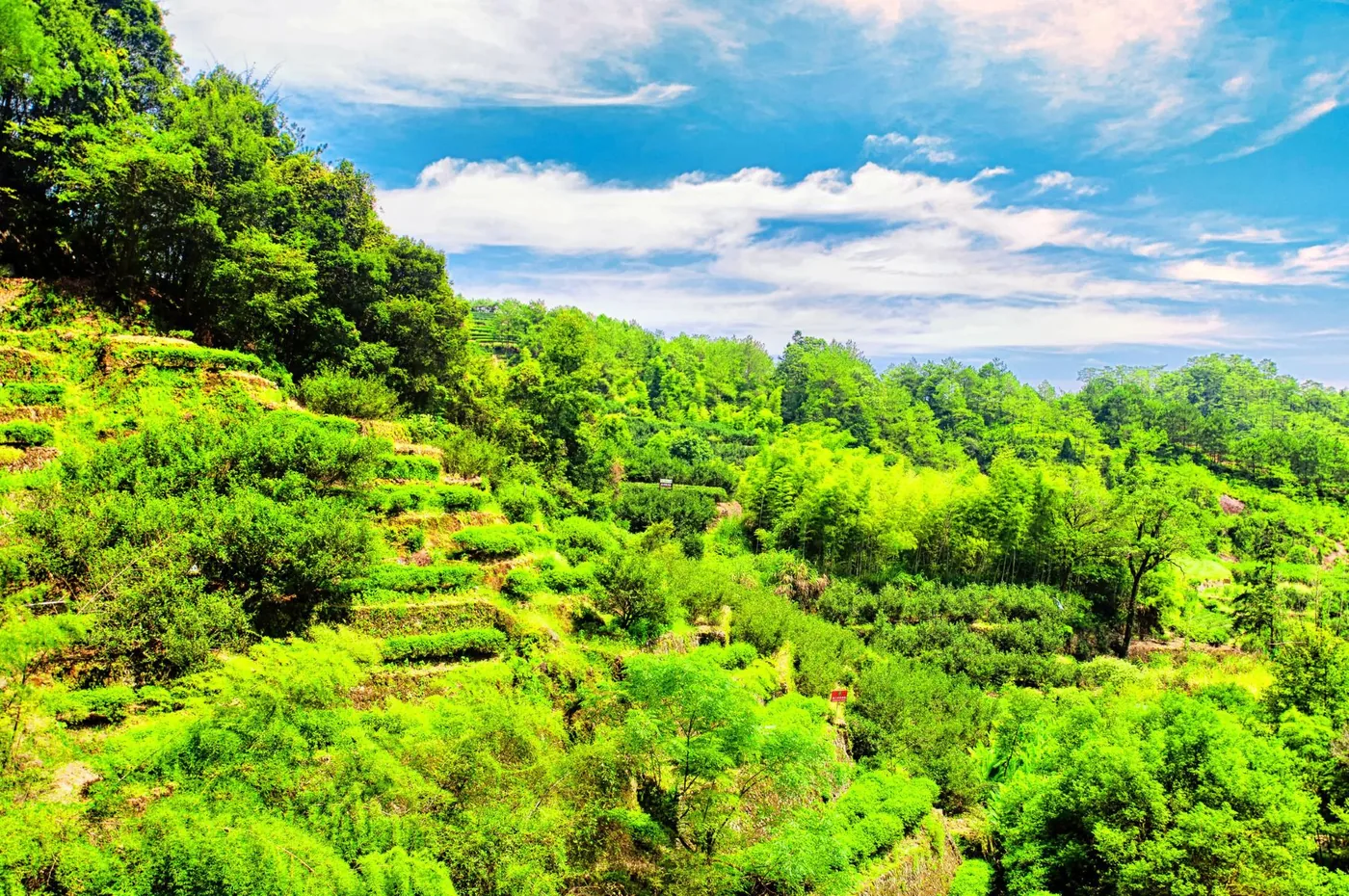 大红袍景区风景图片