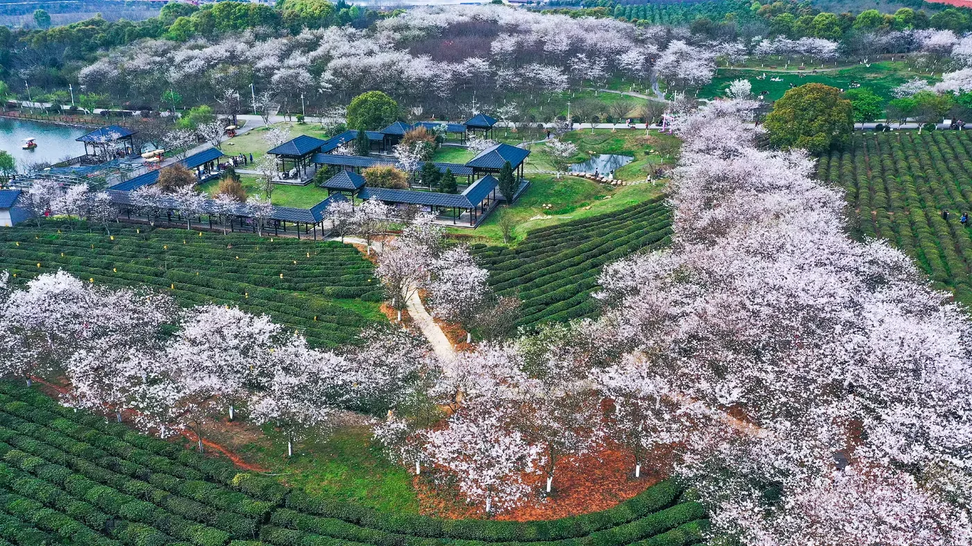 凤凰沟实景图片