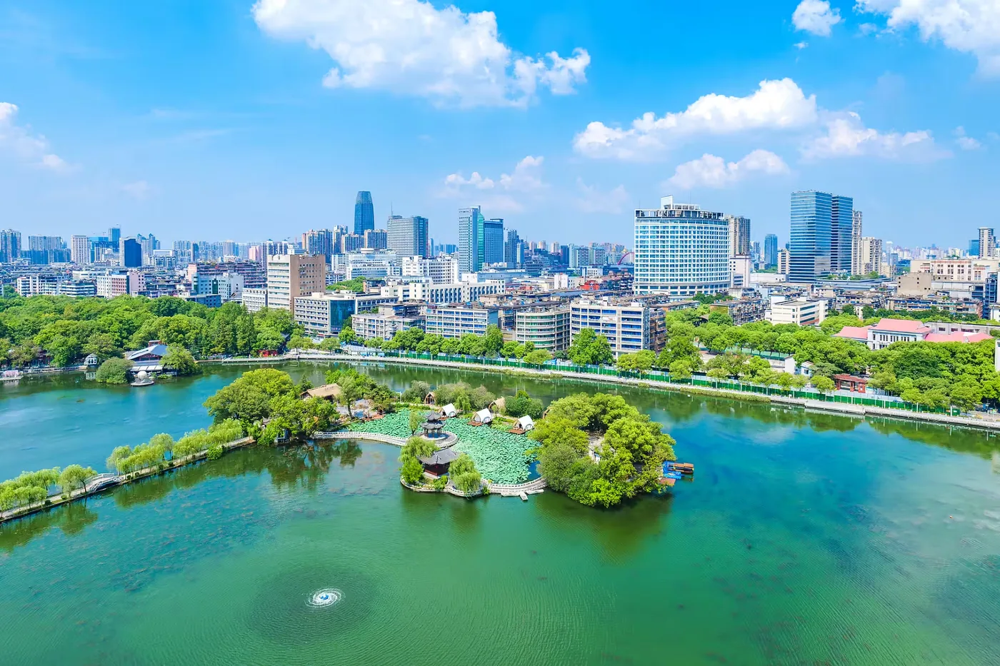 八一公园实景图片