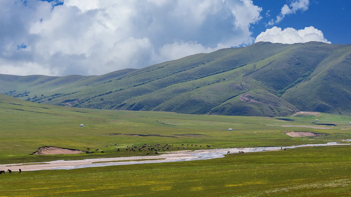 扎鲁特山地草原旅游区风景图片