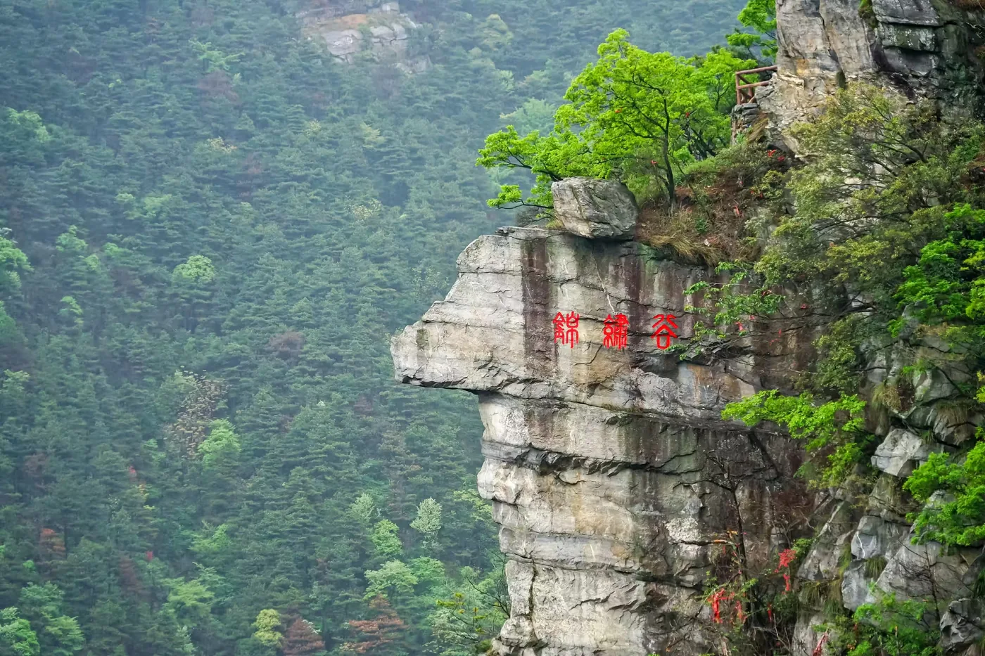 锦绣谷实景图片