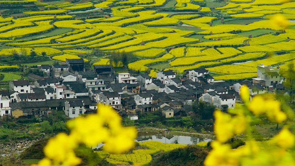 江岭景区风景图片