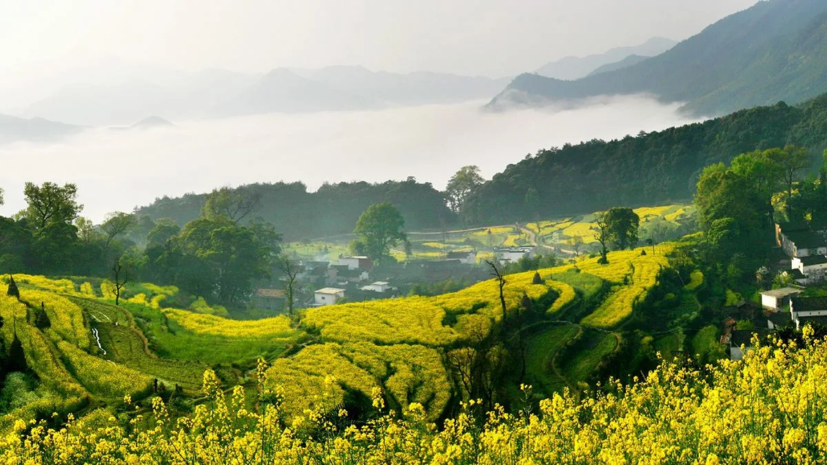 江岭景区风景图片