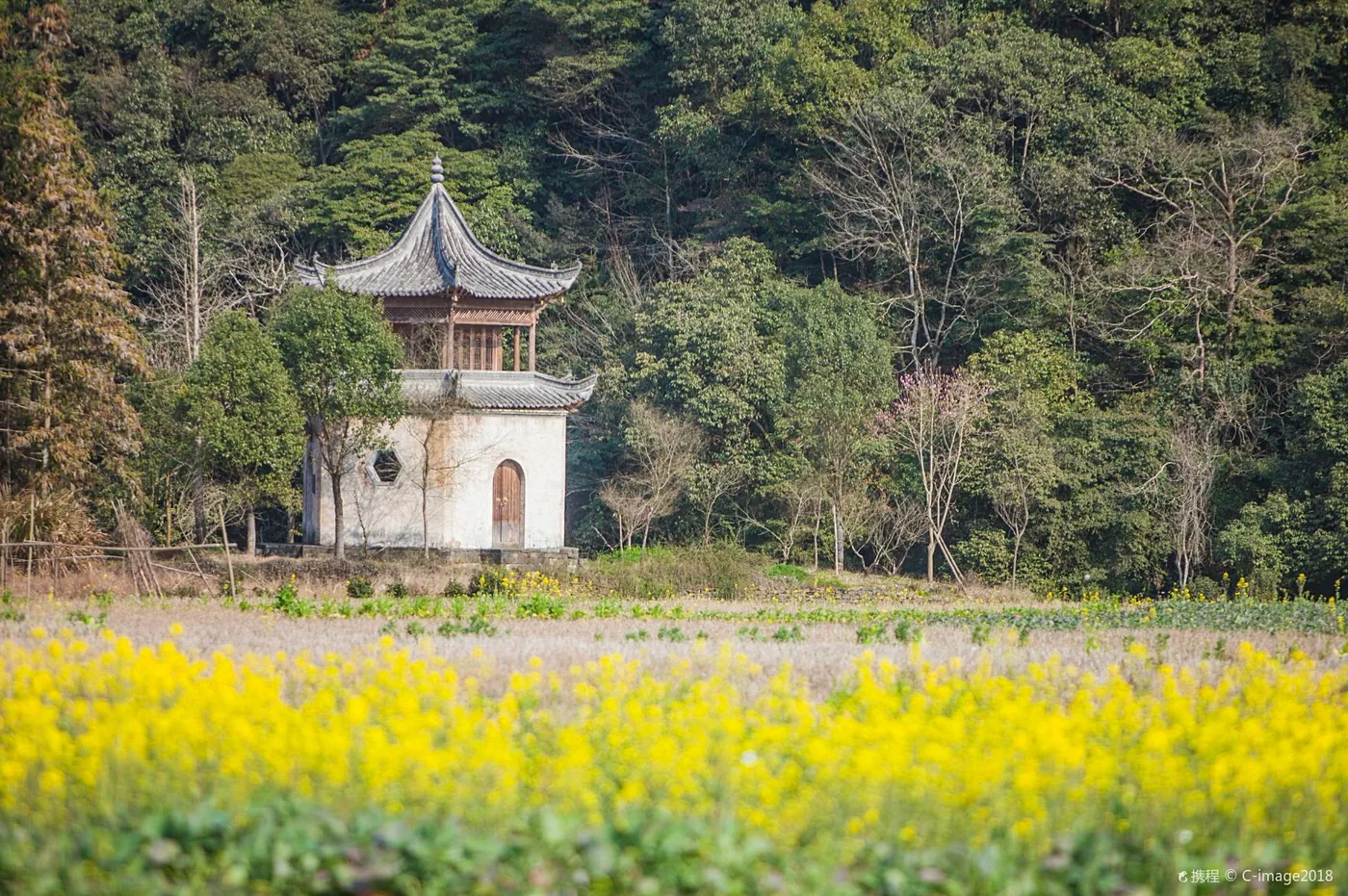 思溪延村景区风景图片