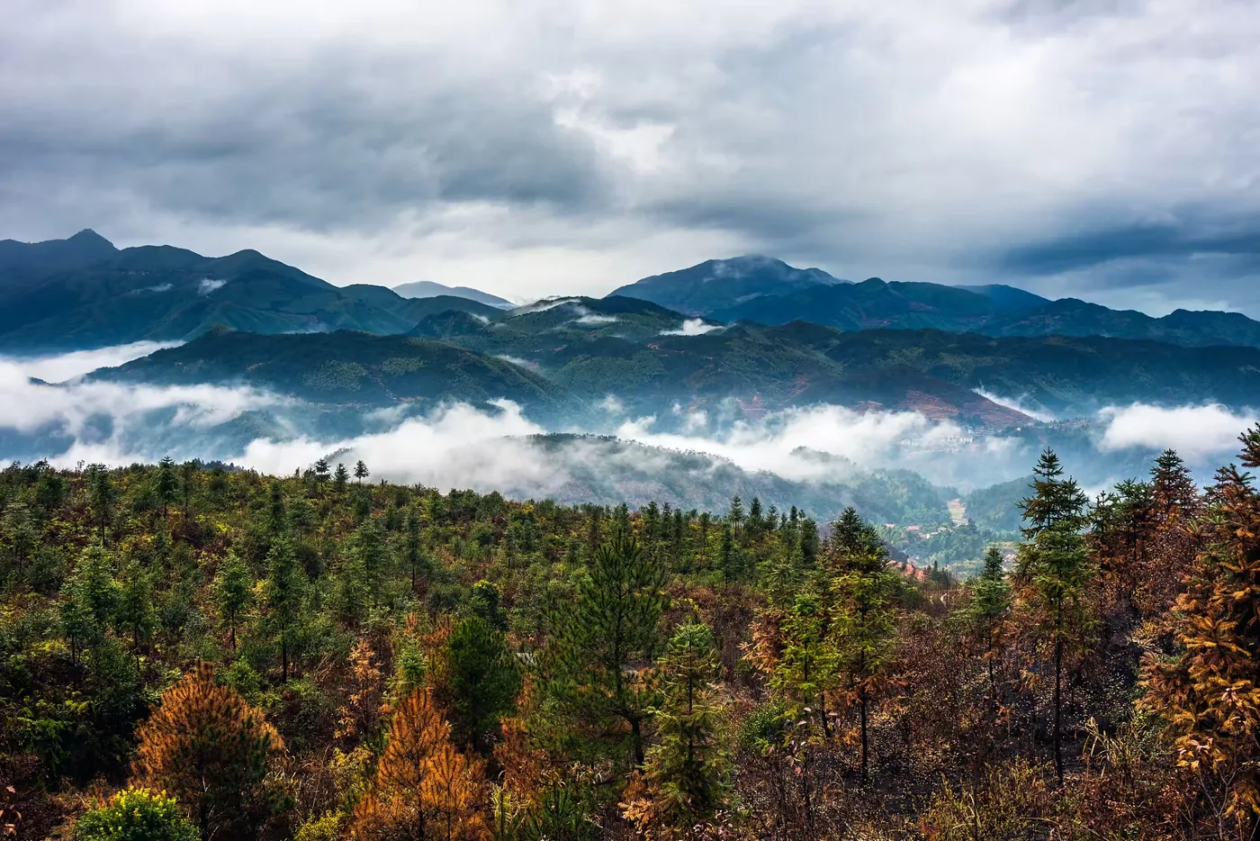 铜钹山国家森林公园风景图片