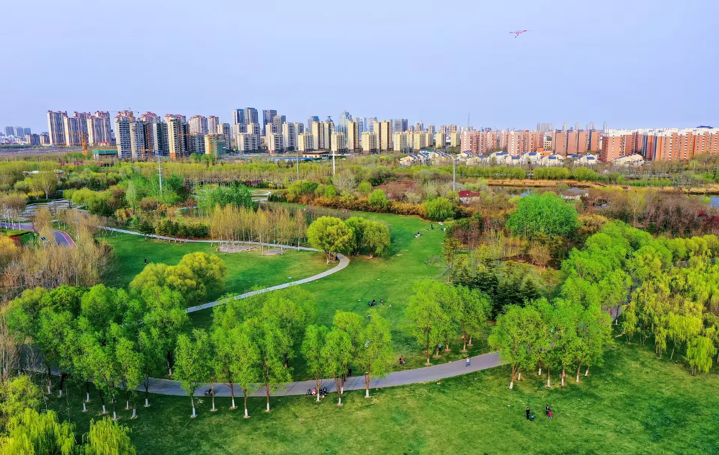 东营植物园风景图片