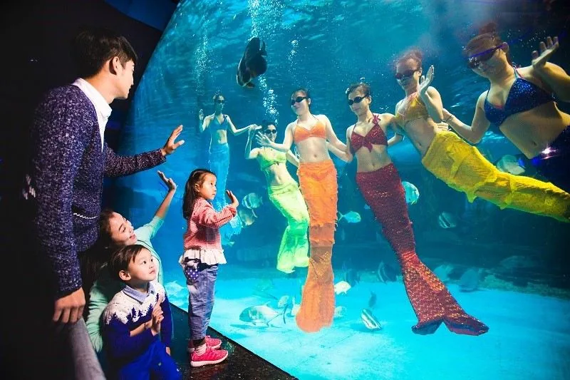 泉城欧乐堡海洋极地世界风景图片