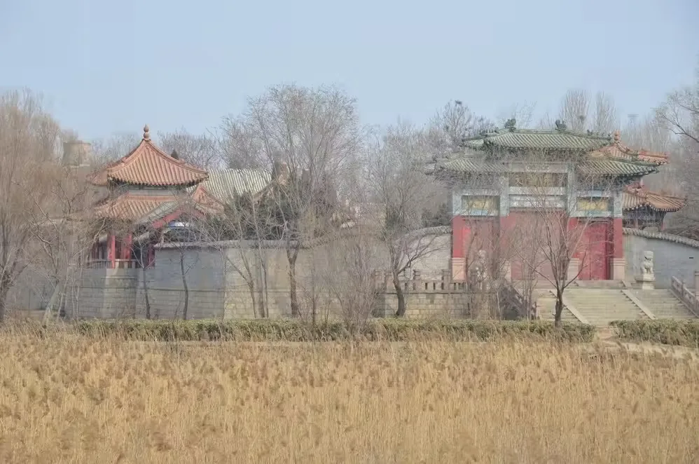 陵城区文博苑实景图片