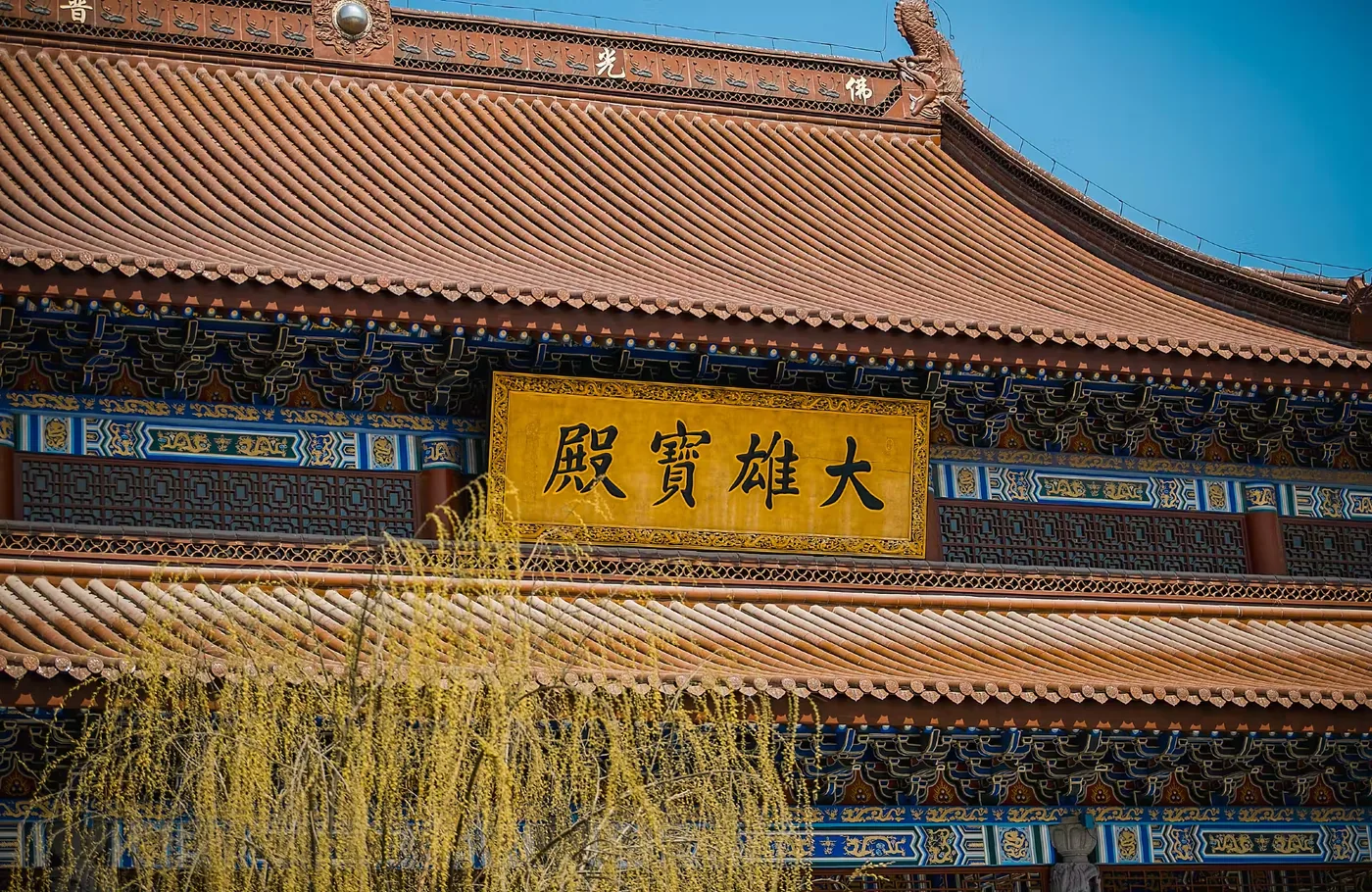齐河定慧寺实景图片