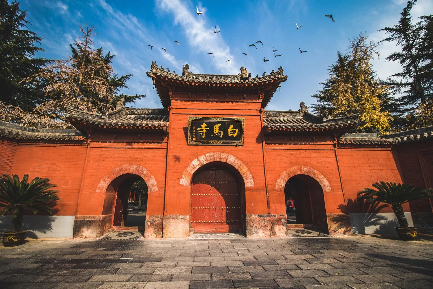 白马寺风景图片