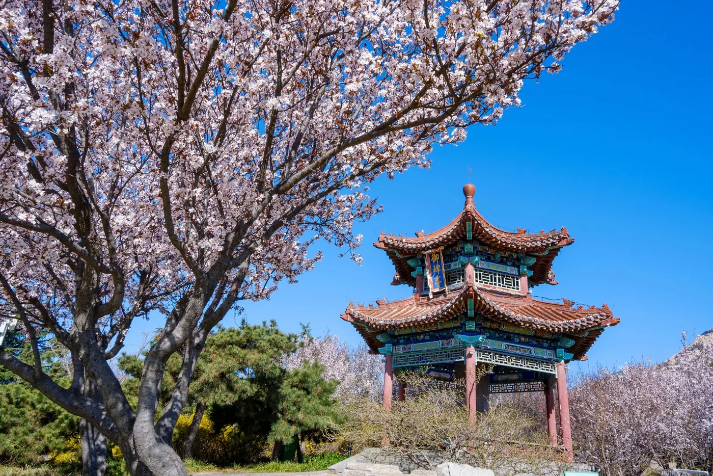 中国国花园风景图片