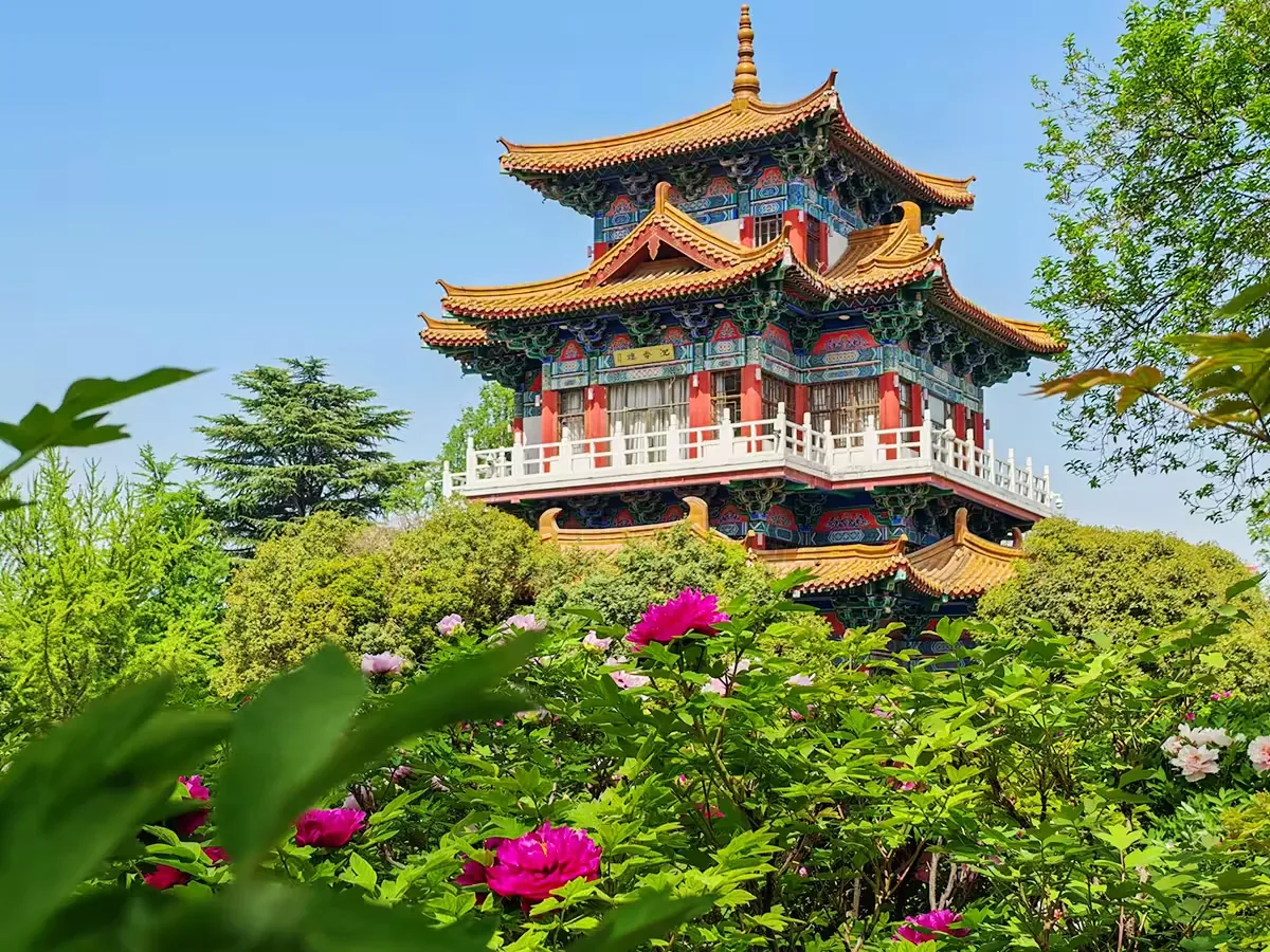 王城公园实景图片