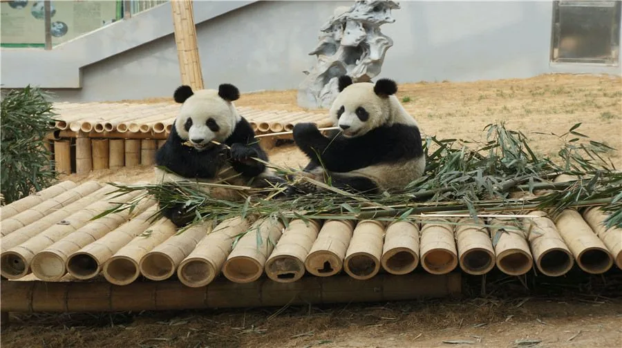 大连森林动物园风景图片