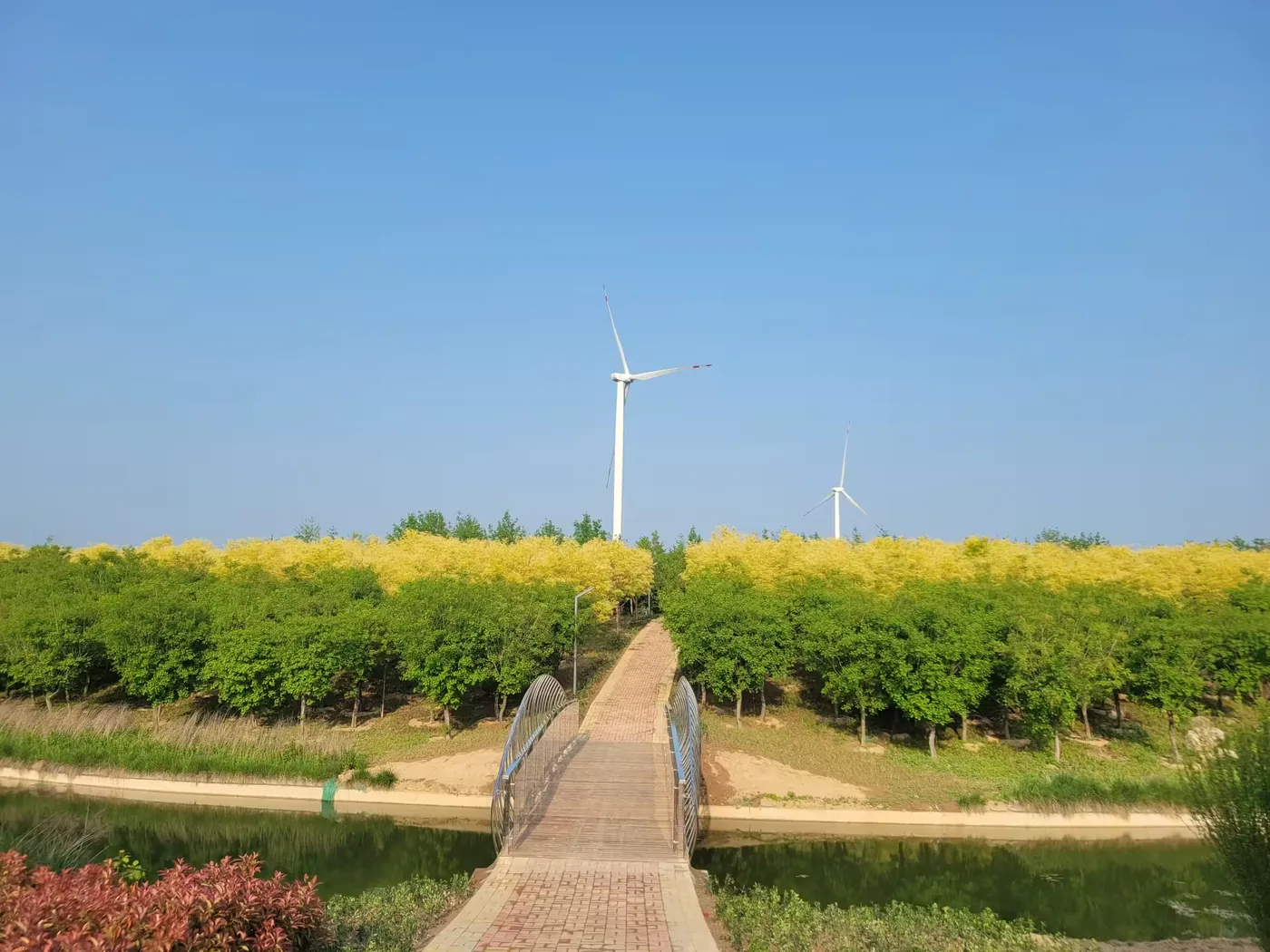 仓颉陵