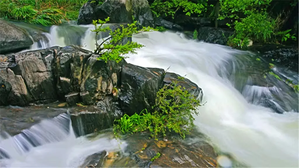 龙潭沟