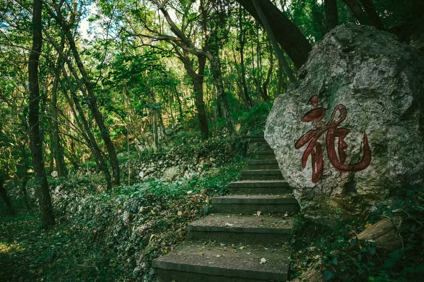 绿林寨风景图片