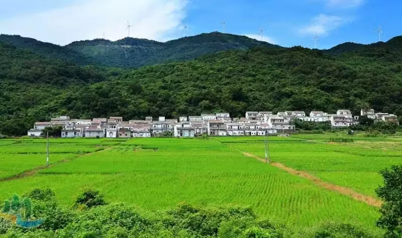黄山头风景区实景图片