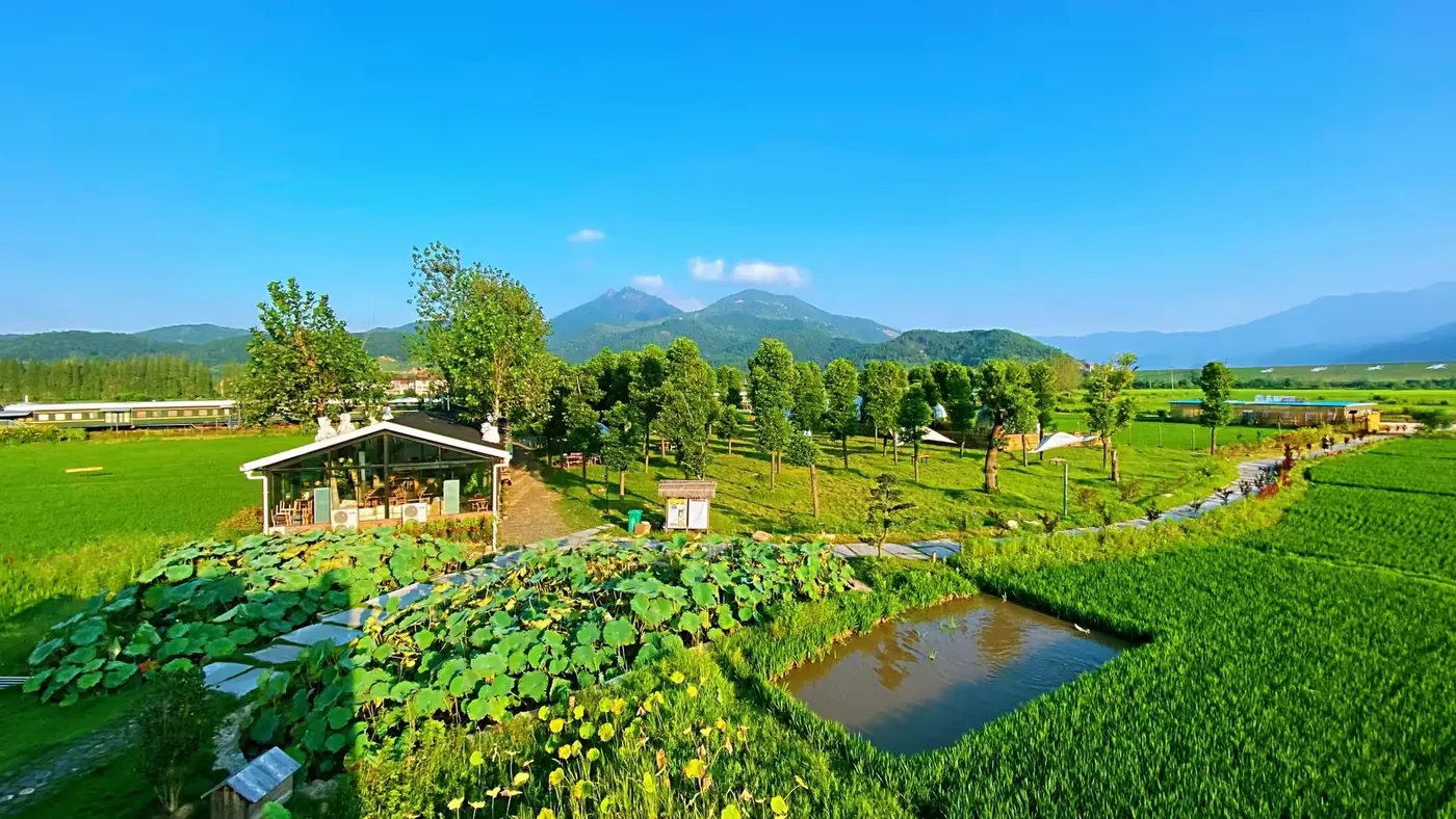 五祖寺风景图片