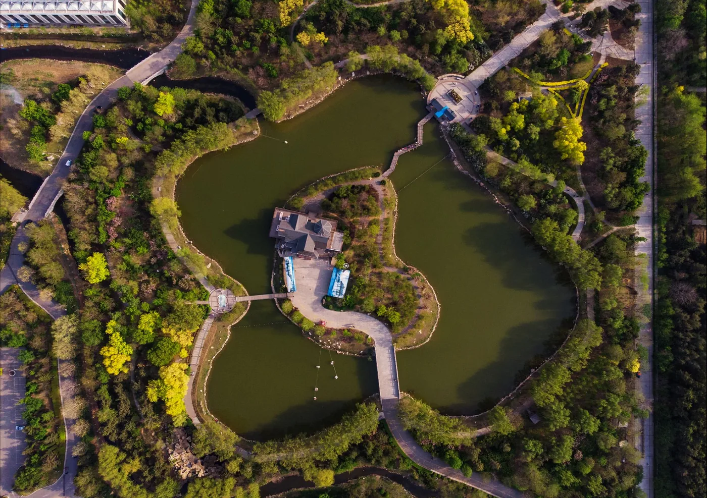 营口植物园实景图片