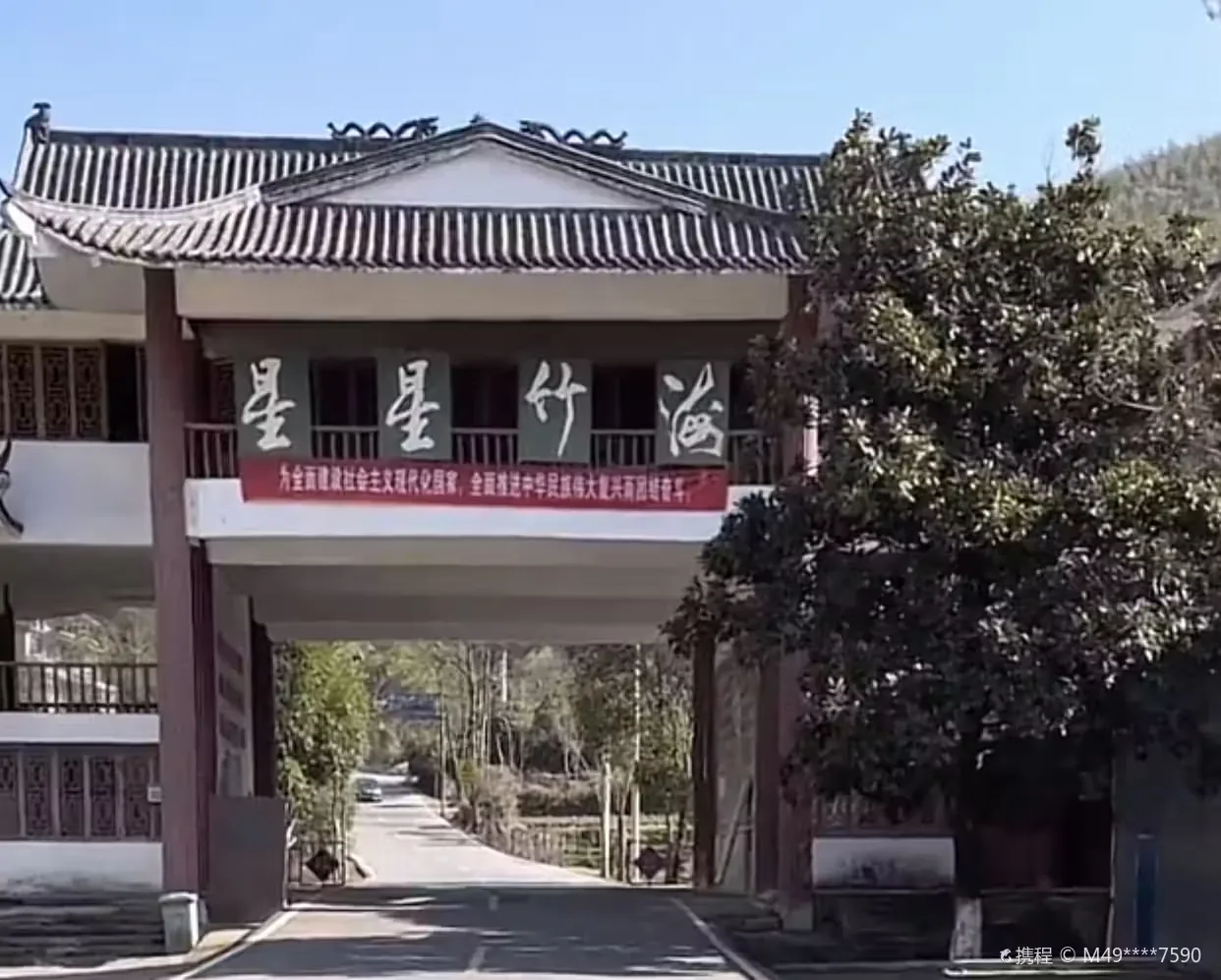 星星竹海实景图片