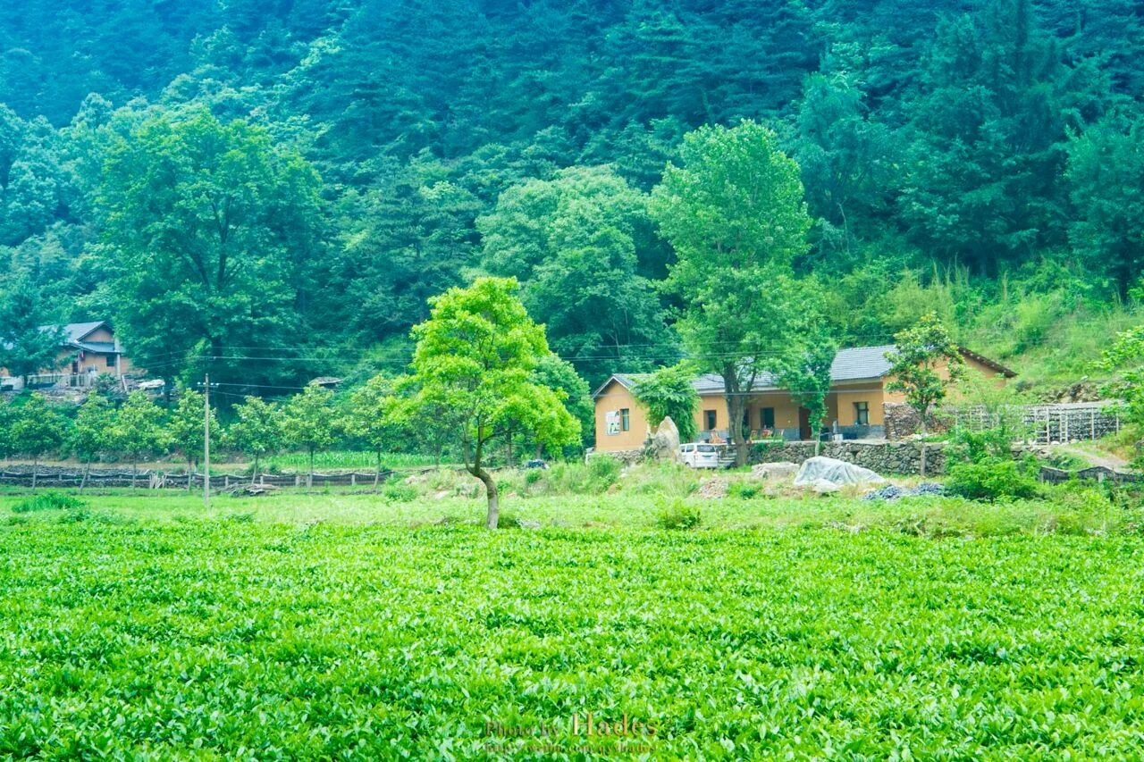 大洪山风景名胜区风景图片