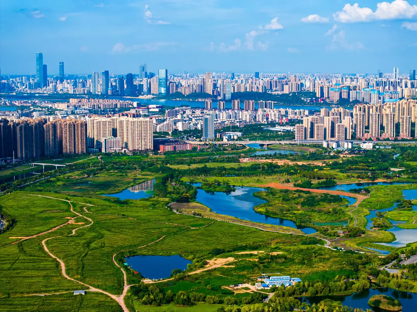 洋湖湿地公园实景图片