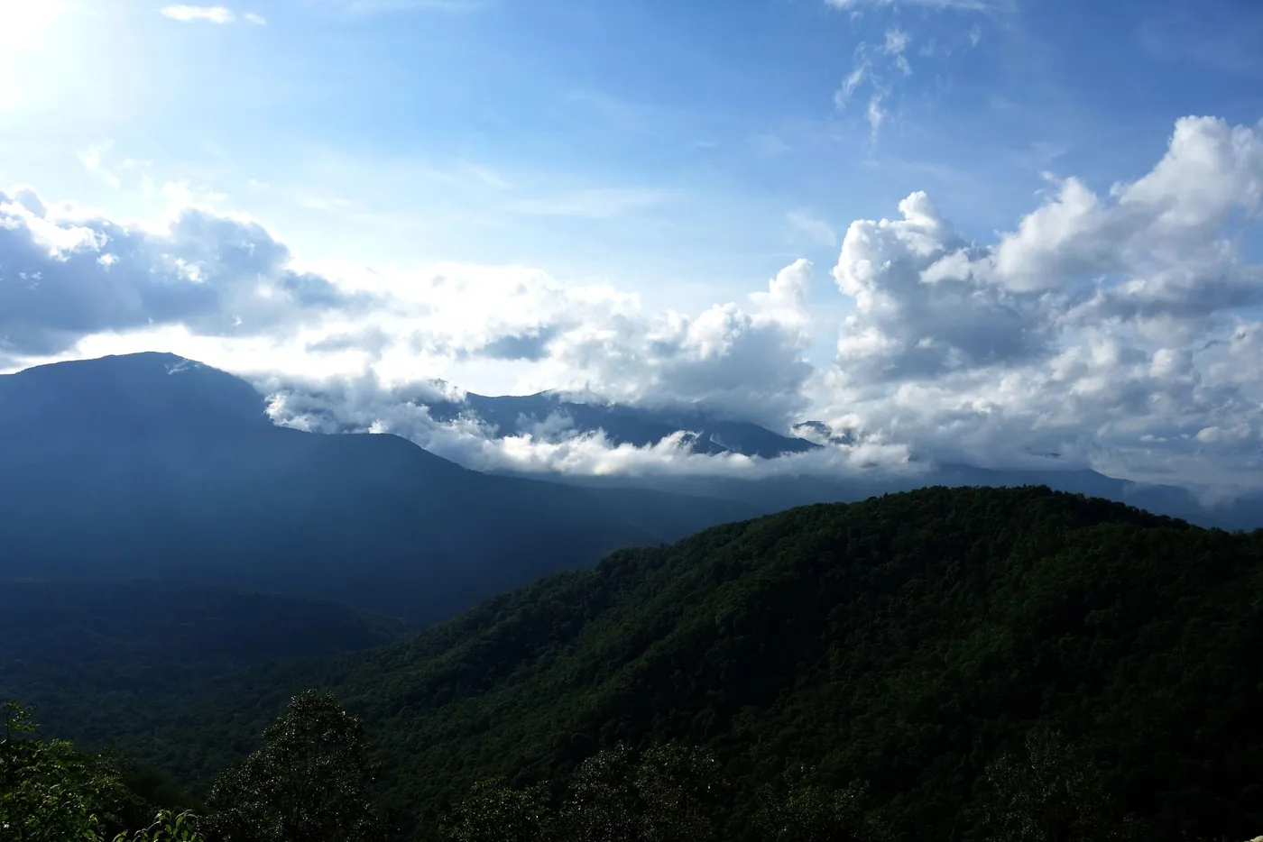 大围山国家森林公园风景图片