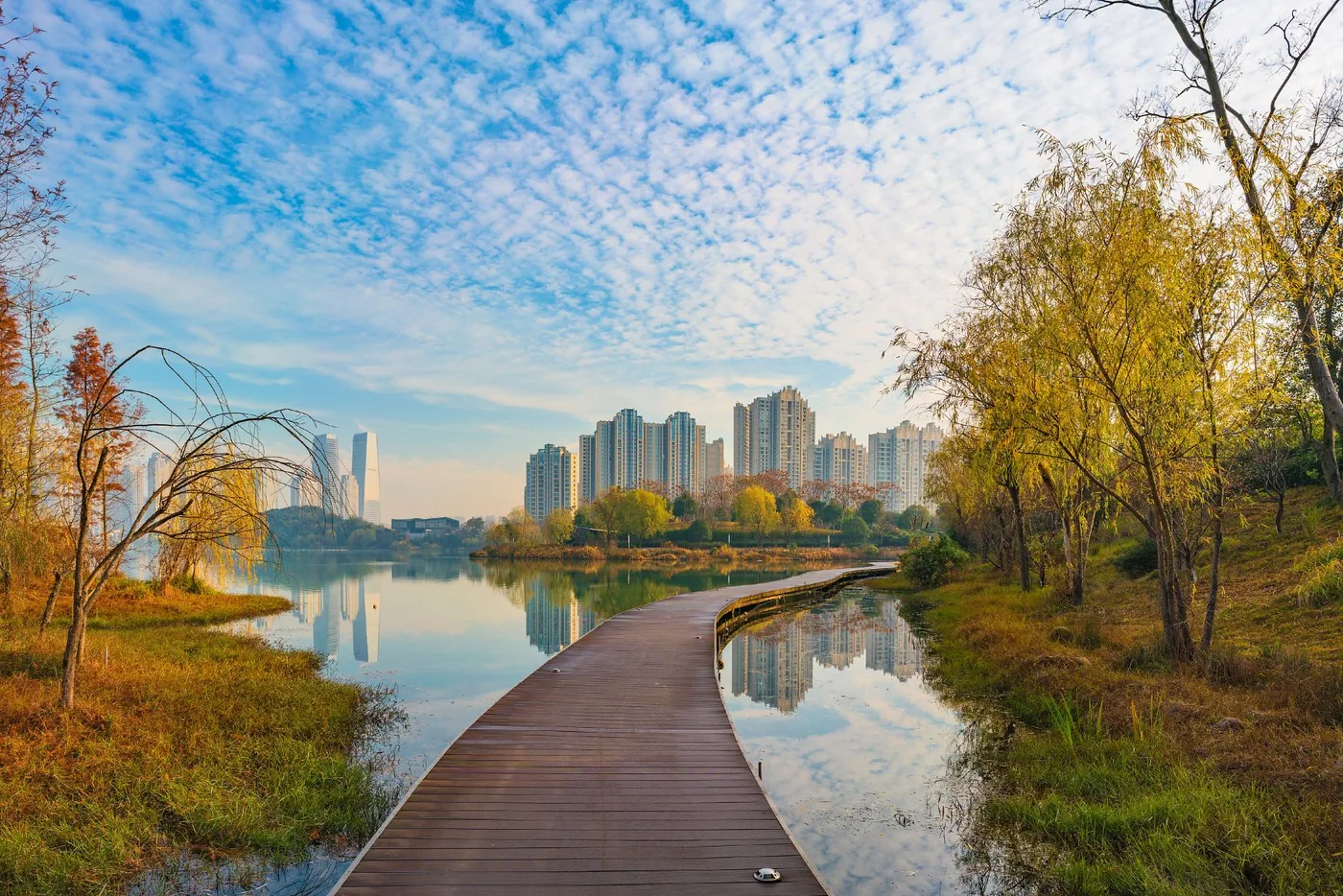 梅溪湖公园风景图片