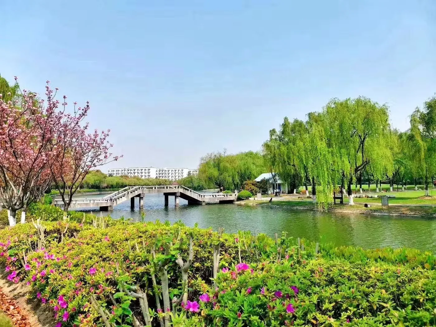 岳屏公园实景图片