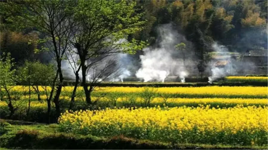 夷望溪风景区实景图片